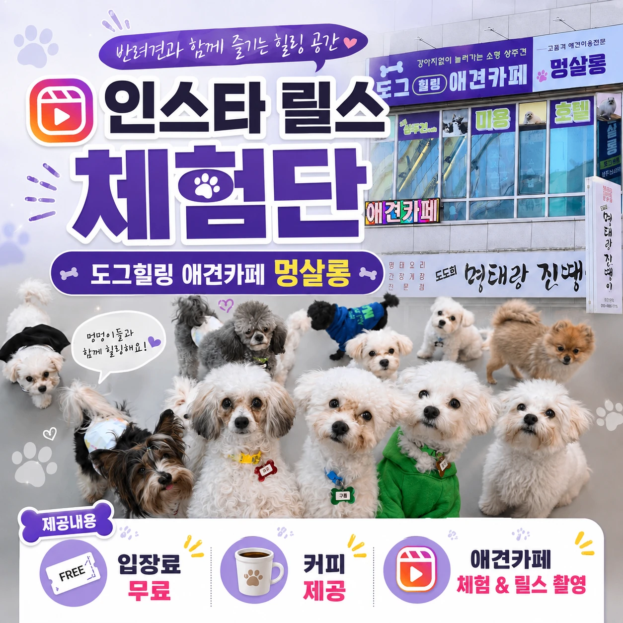 943aed6f-1b12-4705-9a52-0cd8dfbc1645.webp