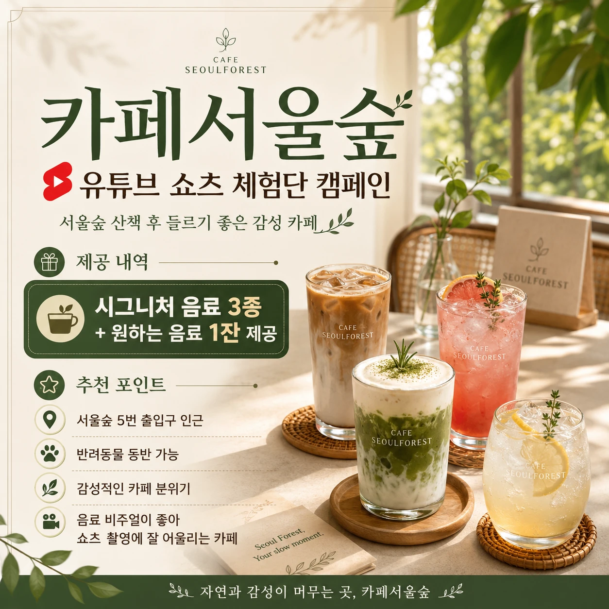 d1257bb9-9029-441c-b09c-f606f297dd08.webp