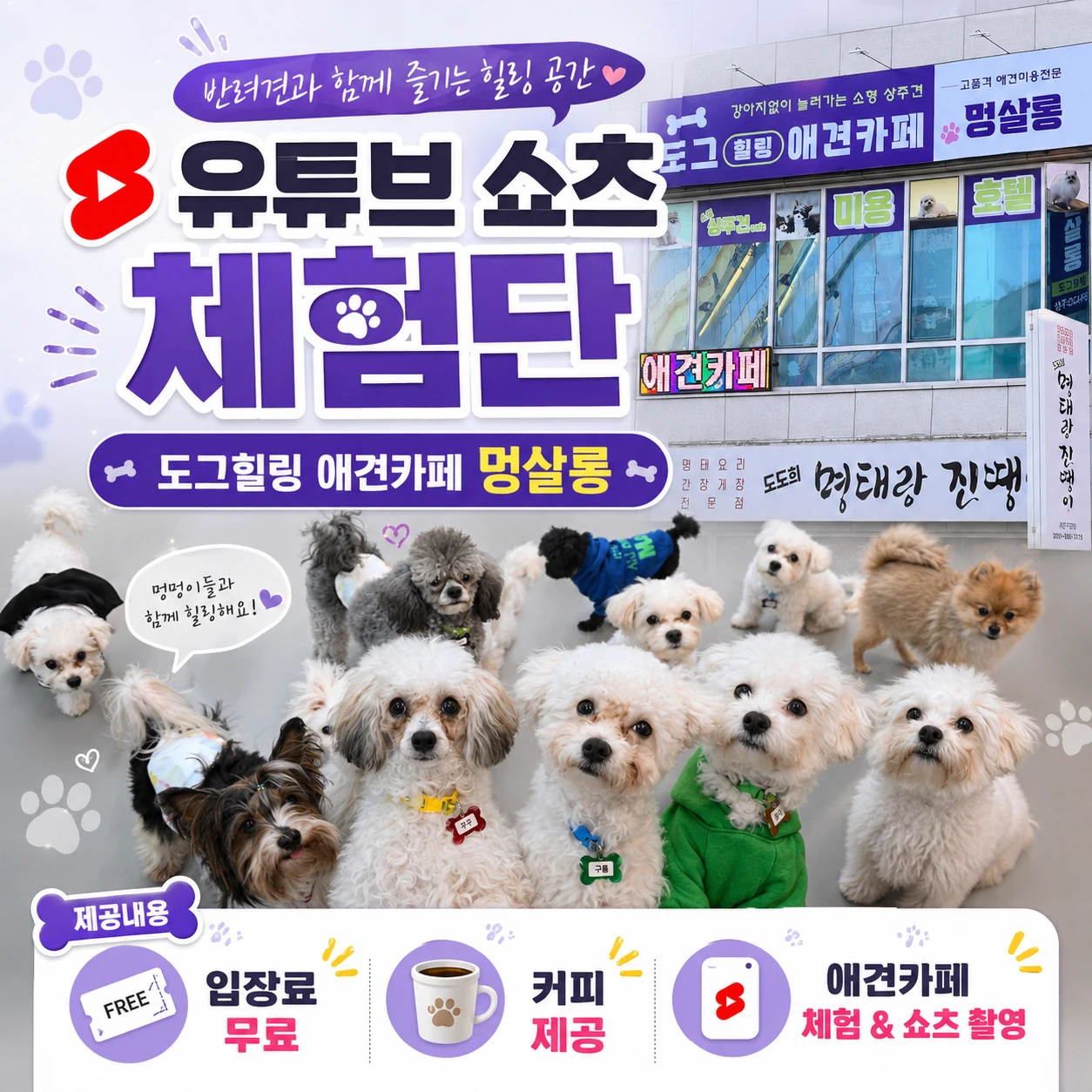d47572ea-6b47-4831-97ad-77c459e91d44.webp